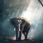 MESA DE ACTUALIDAD: Medio ambiente