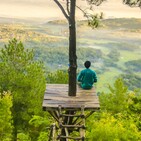 Conferencia y meditación: la experiencia del observador desapegado y compasivo