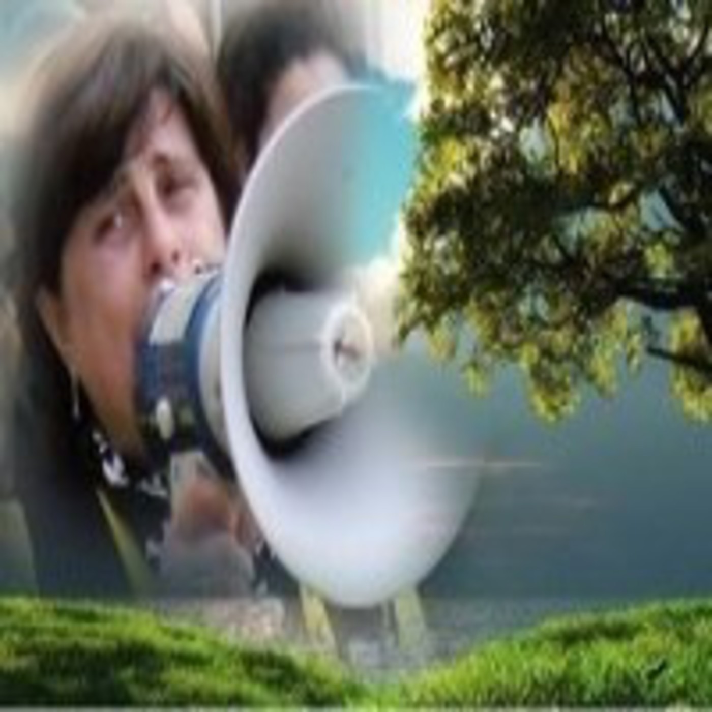 Historia de una sensibilidad
