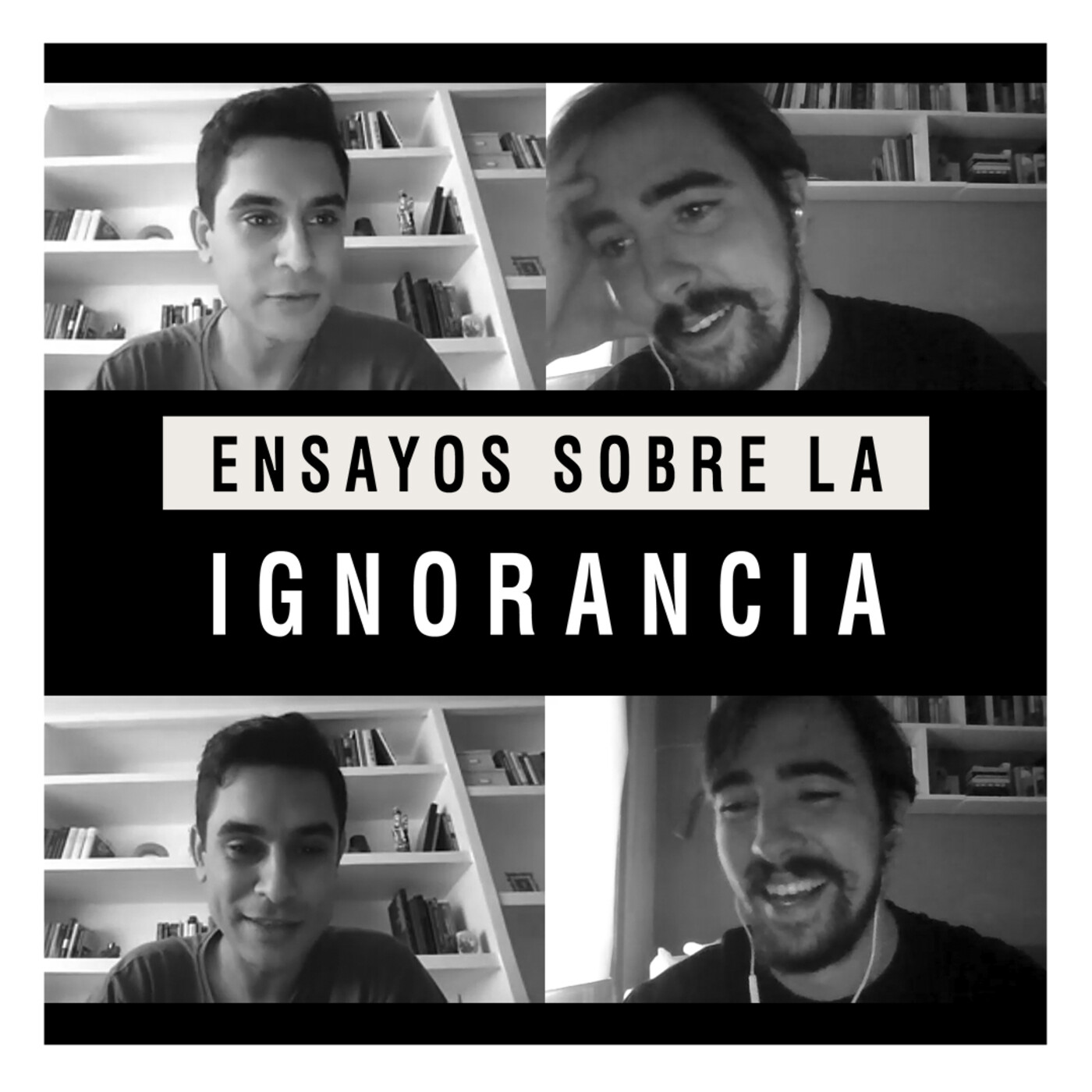 Ensayos sobre la ignorancia