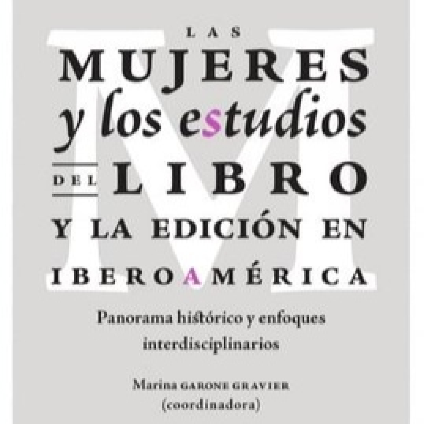 Apiedepágina IMER