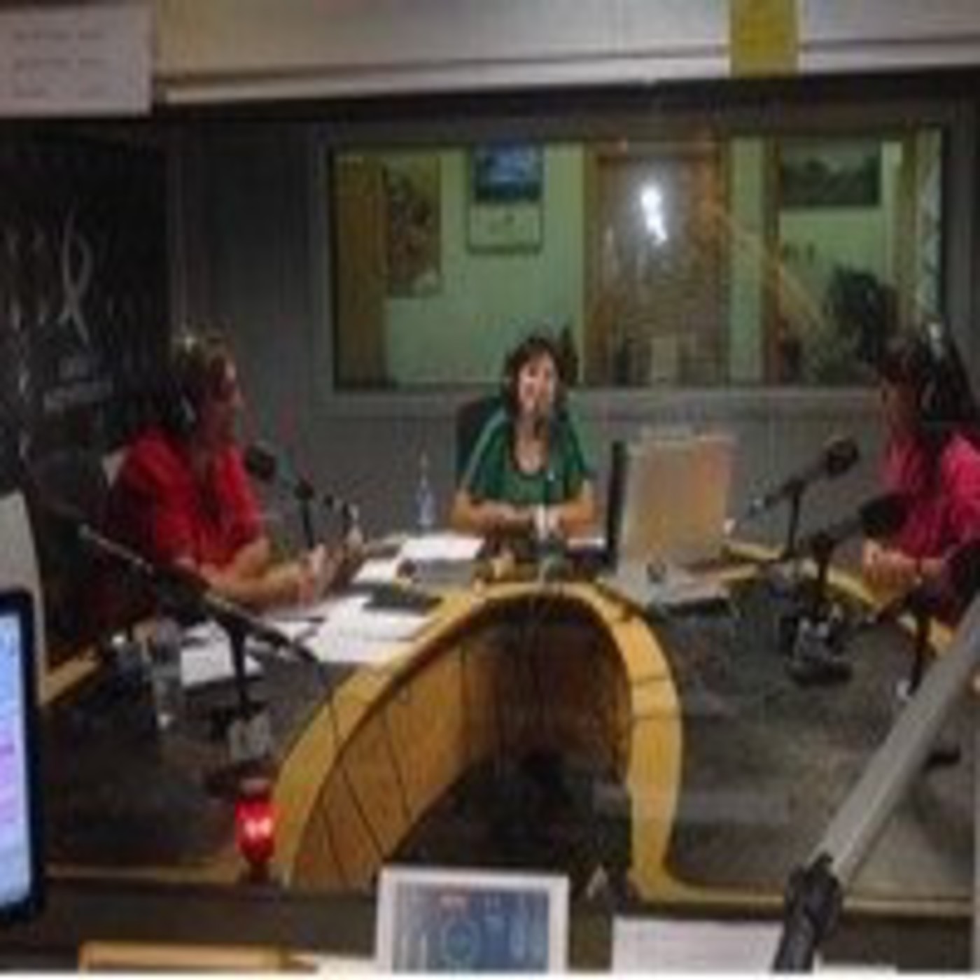 Entrevistas a Rosario Abelaira