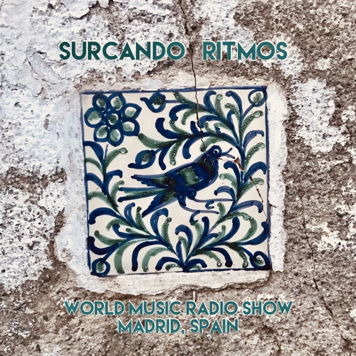 Surcando Ritmos