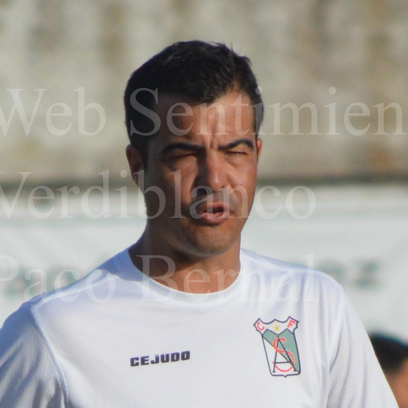 Sentimiento Verdiblanco Paco Bernal