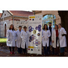 embed image