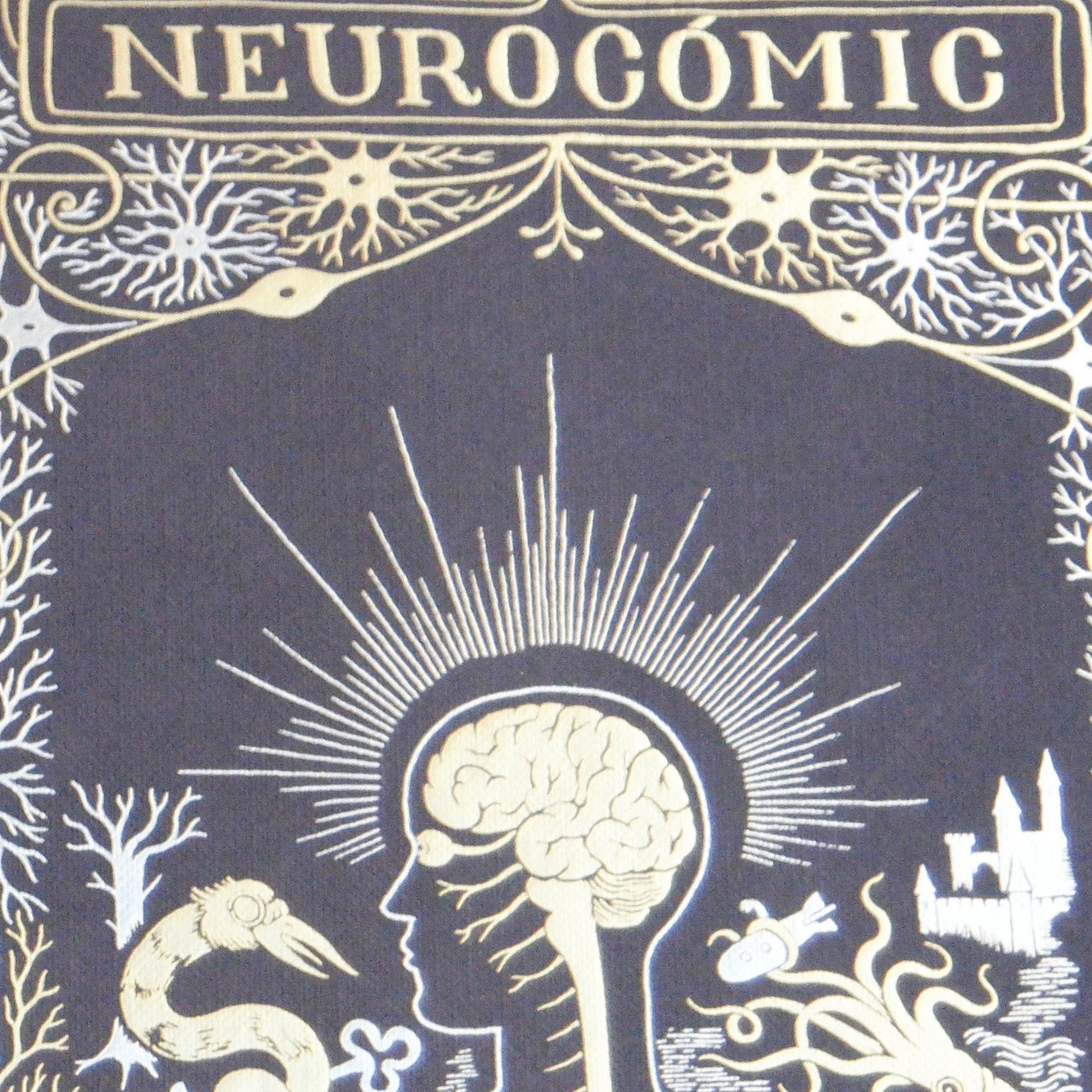 Neurocomic + O segredo de Coimbra [Cambio de fase] episode artwork