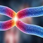 Telómeros: qué son y cómo alargarlos para vivir más