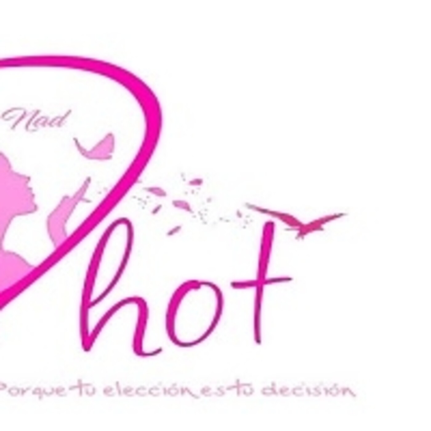 Dhot 010820 p096