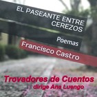 El paseante entre cerezos