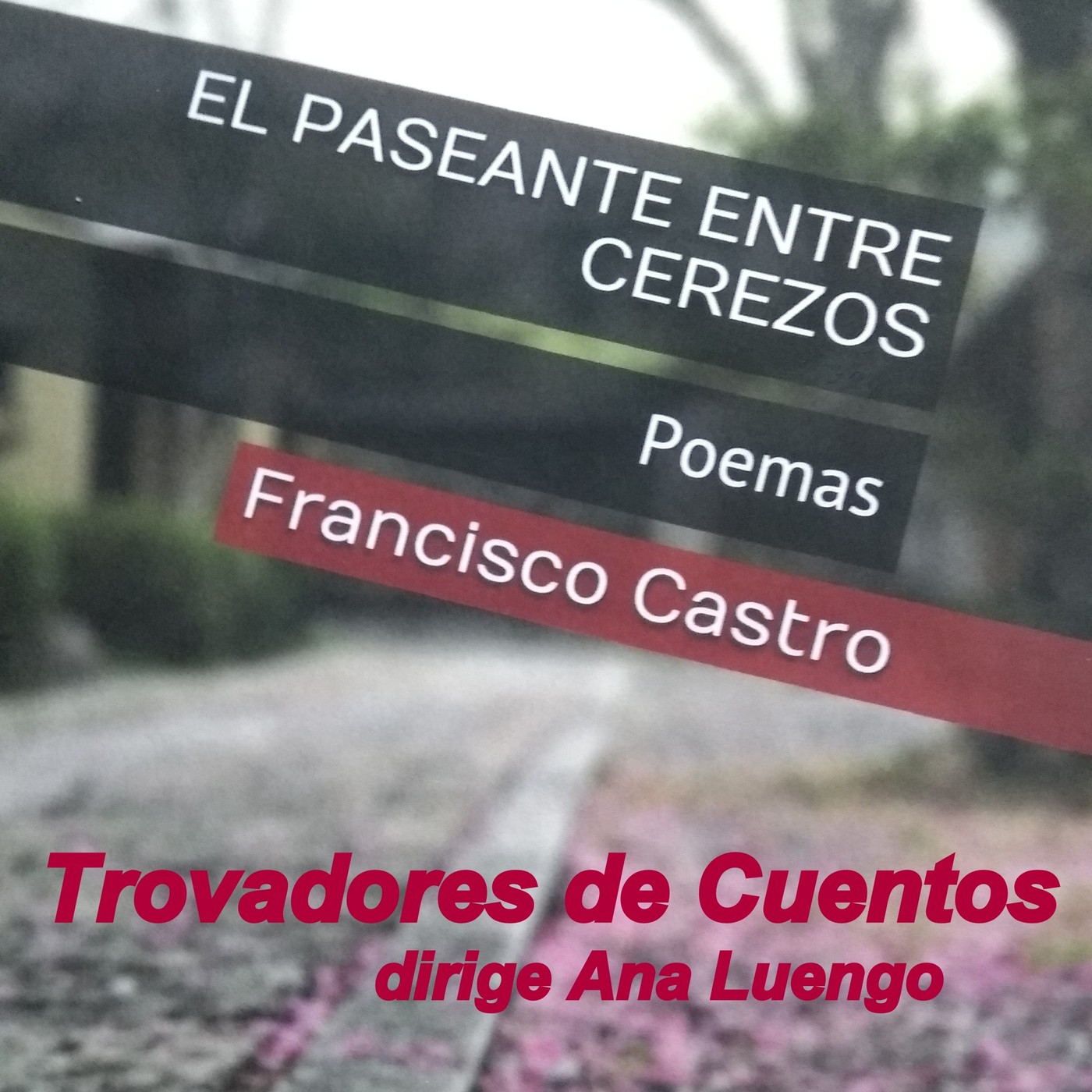Trovadores de Cuentos