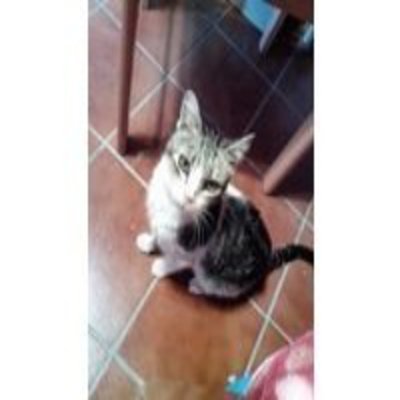 Podcast de El rincón de Lola Pola
