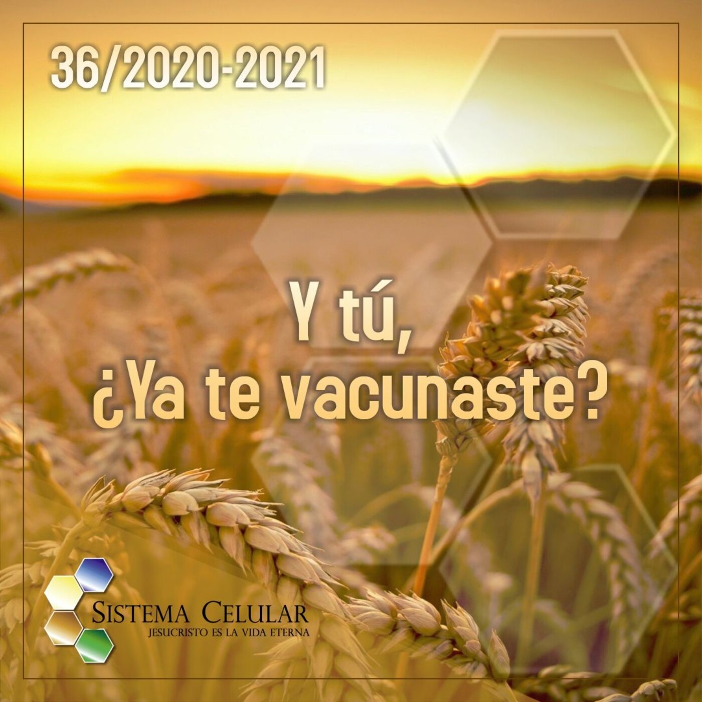 JVE Podcast · Mensajes del Sistema Celular