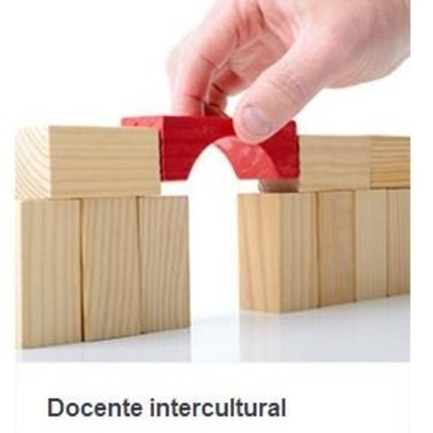 Español Lengua Extranjera. Cursos para profesores