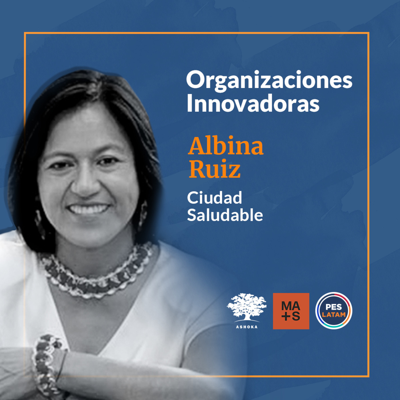 Organizaciones Innovadoras