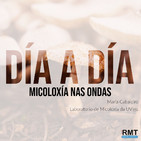 Micoloxía nas Ondas 14/11/2019