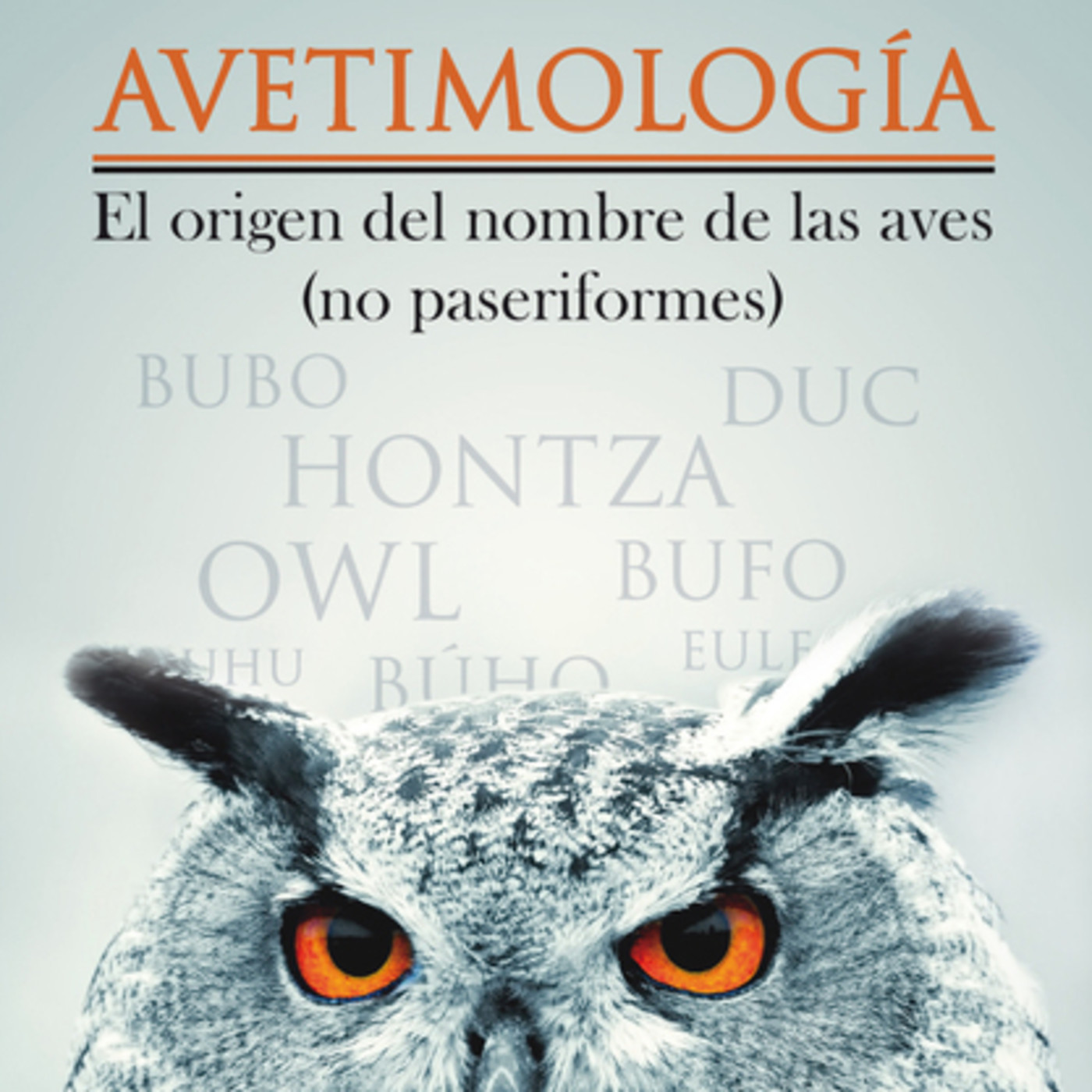 La Radio del Somormujo