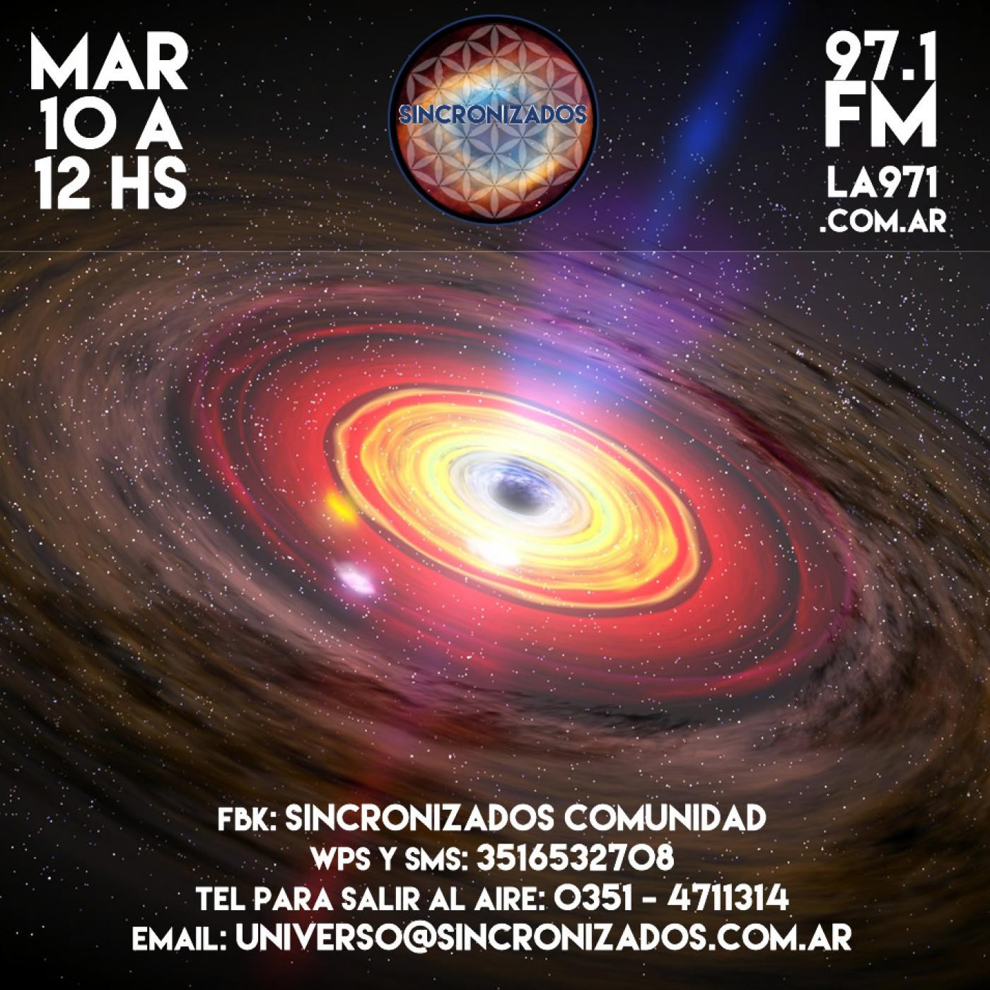 Sincronizados