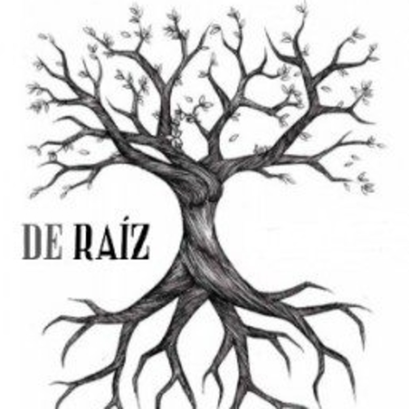 De Raíz Radio