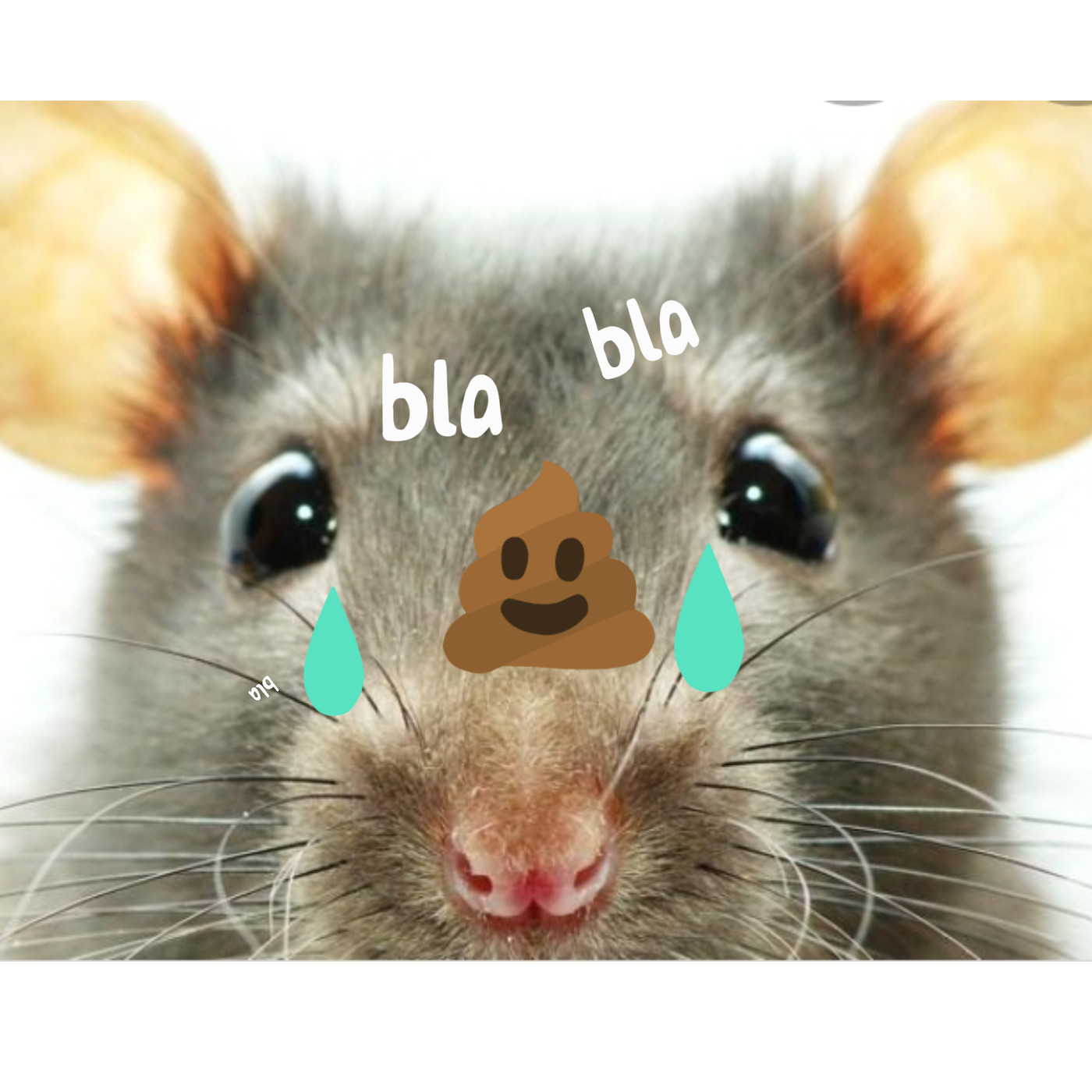 EL BUKAKE