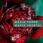 Magia verde, magia vegetal. Cap. 2. Beneficios de usar la magia vegetal