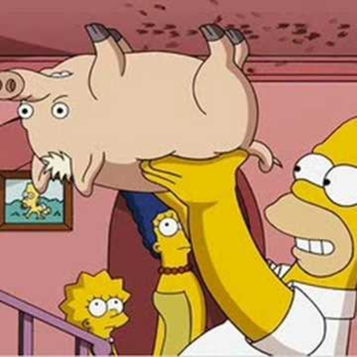 Episodio XII Puerco Araña