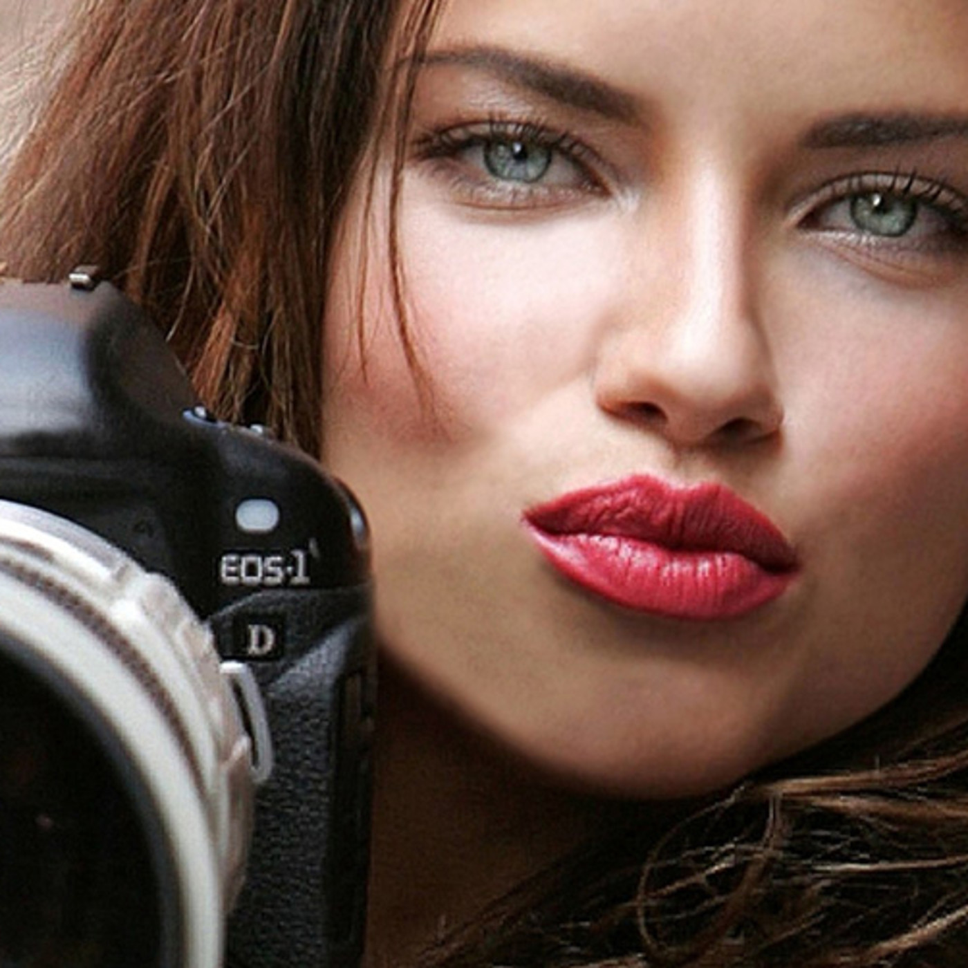 El alma de ceniciento