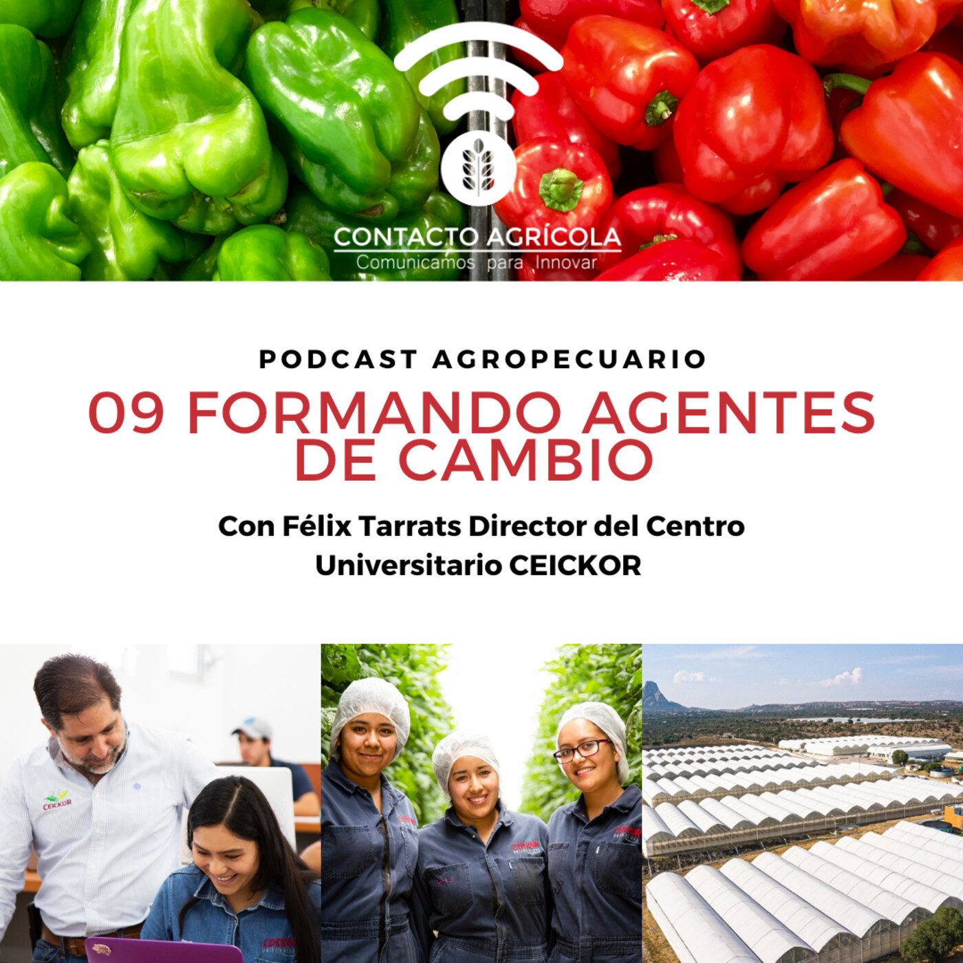 Contacto Agrícola