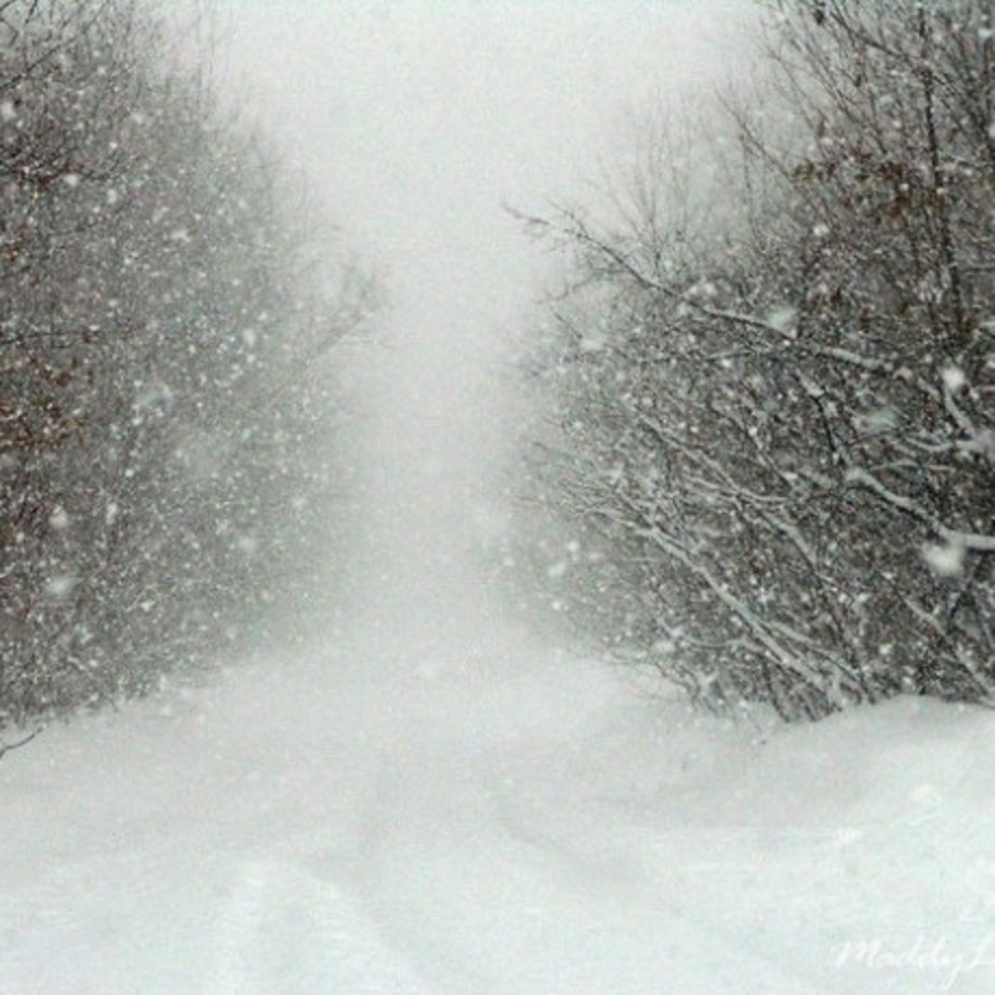 La Tempestad de Nieve