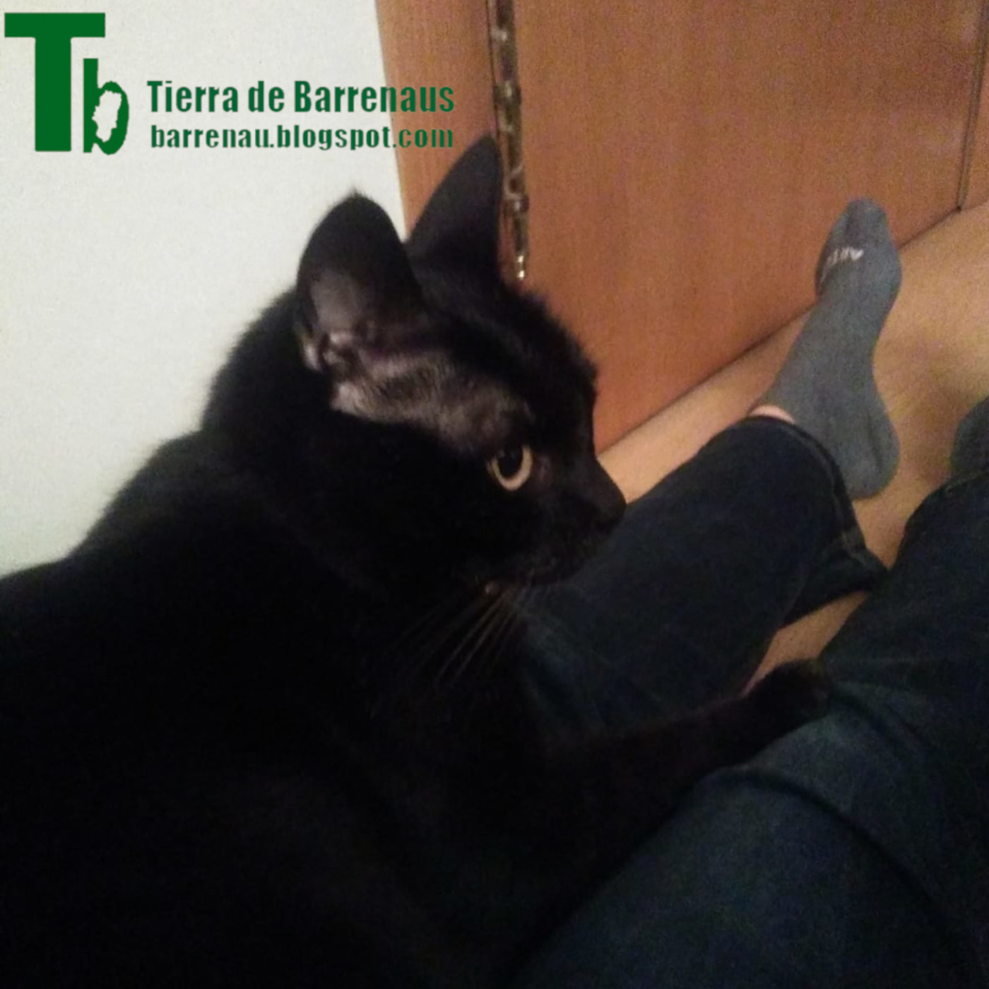 Tierra de varrenadas