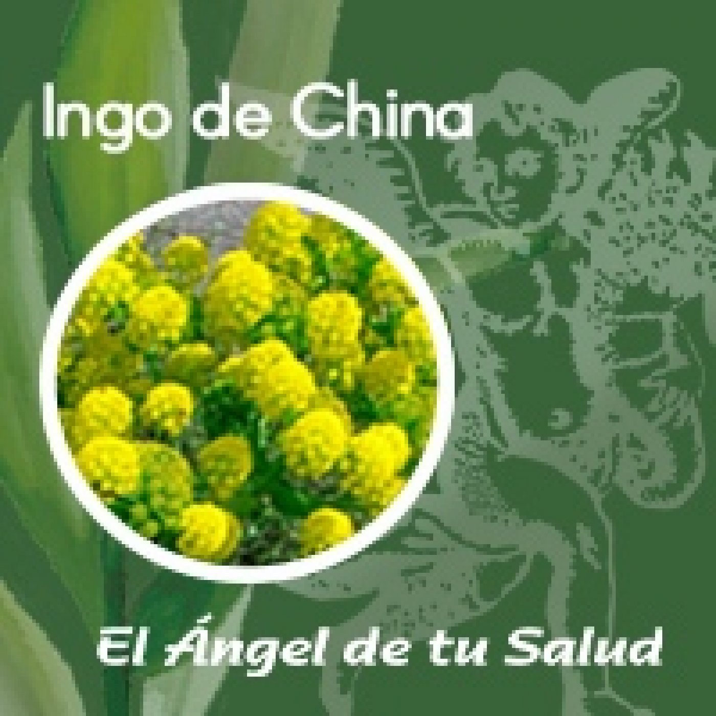El Ángel de tu Salud - Ingo de China **