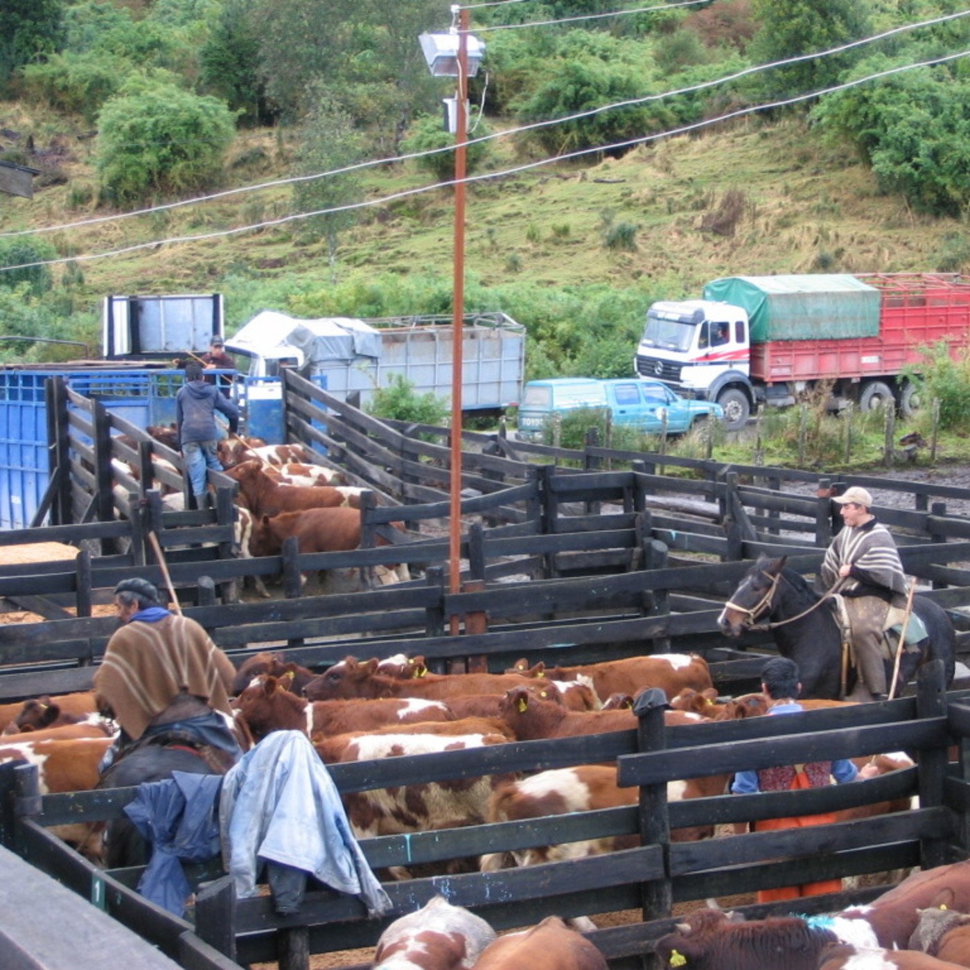 SAG Aysén...invita