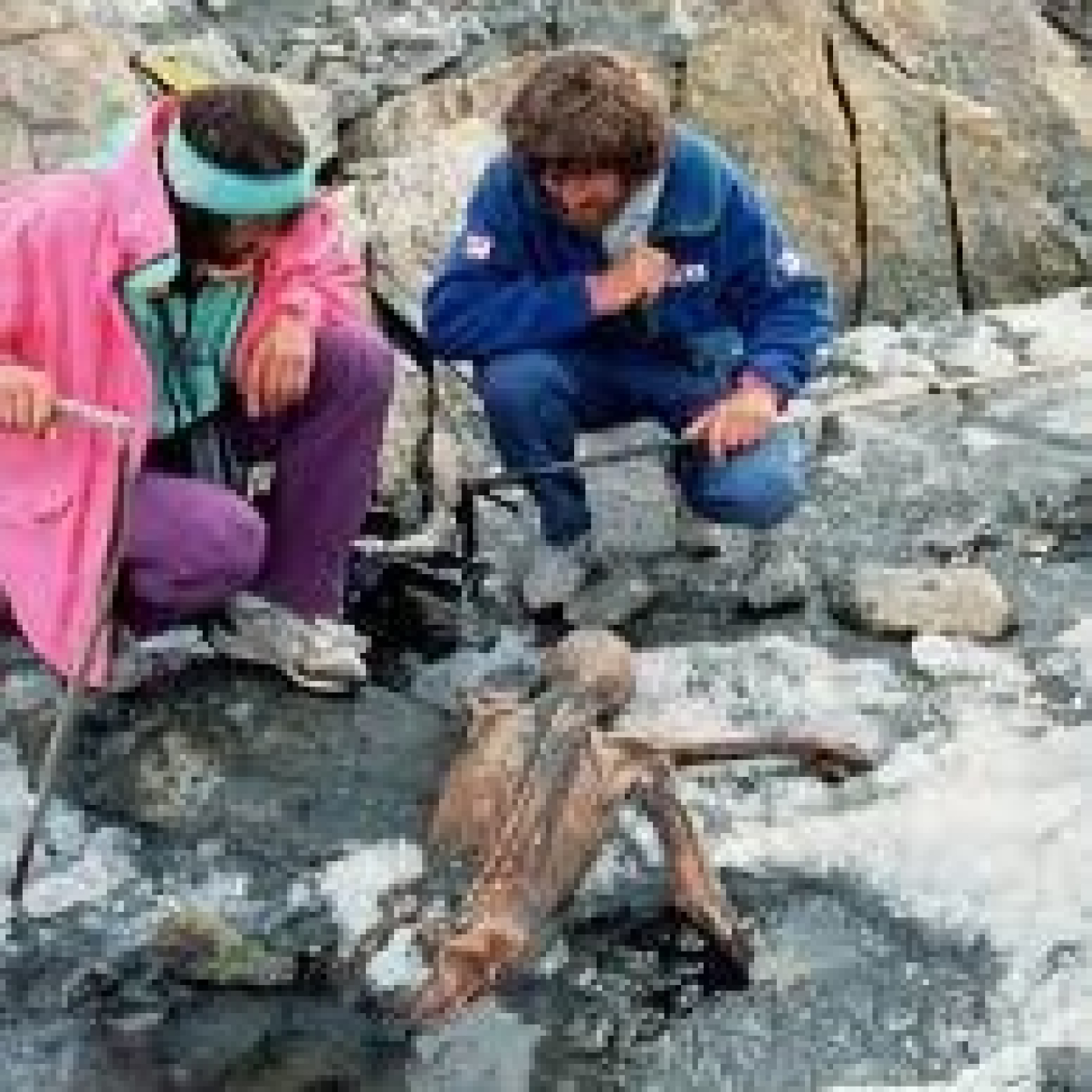 423 - El Hombre de Hielo de los Alpes - Episodio exclusivo para mecenas