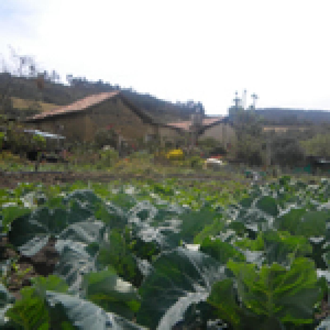 EL CAMPO, UNA DESPENSA PARA DAR Y CONVIDAR