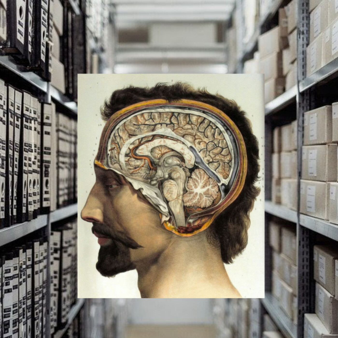 Palabras Cruzadas: el bibliopodcast