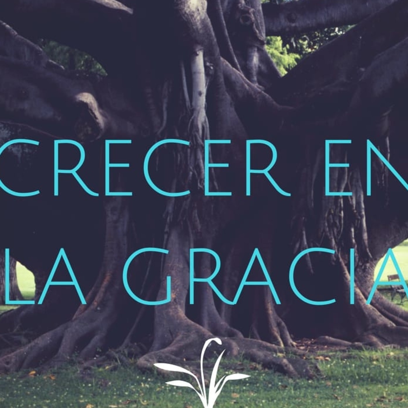 Crecer en la Gracia 6 Pecado y Santidad - Pastor Kenneth Solá episode artwork