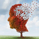 ALZHEIMER: Síntomas y consejos