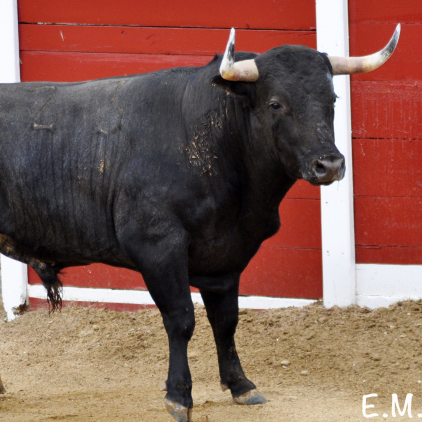 El Albero de COPE Pinares
