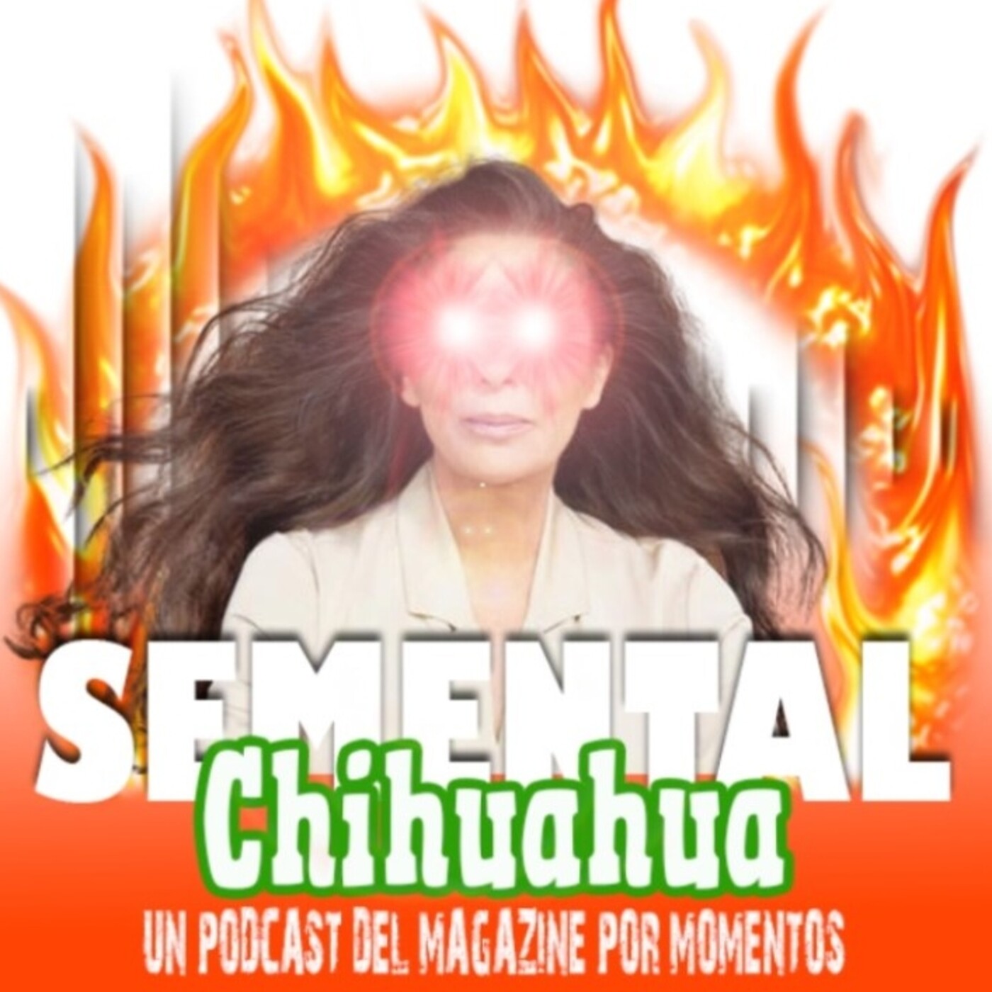 Semental Chihuahua