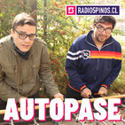 Autopase Semana 29