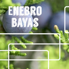 Nutribella - ENEBRO BAYAS