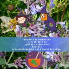 embed image