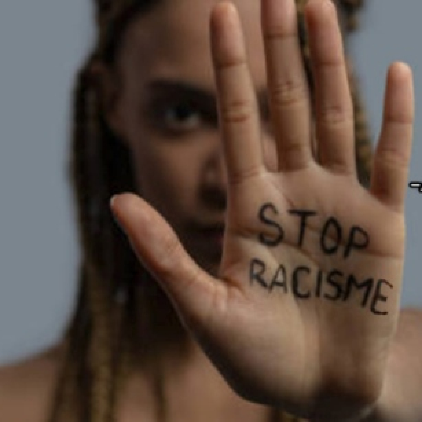 Jornada contra el racisme a Ripoll episode artwork