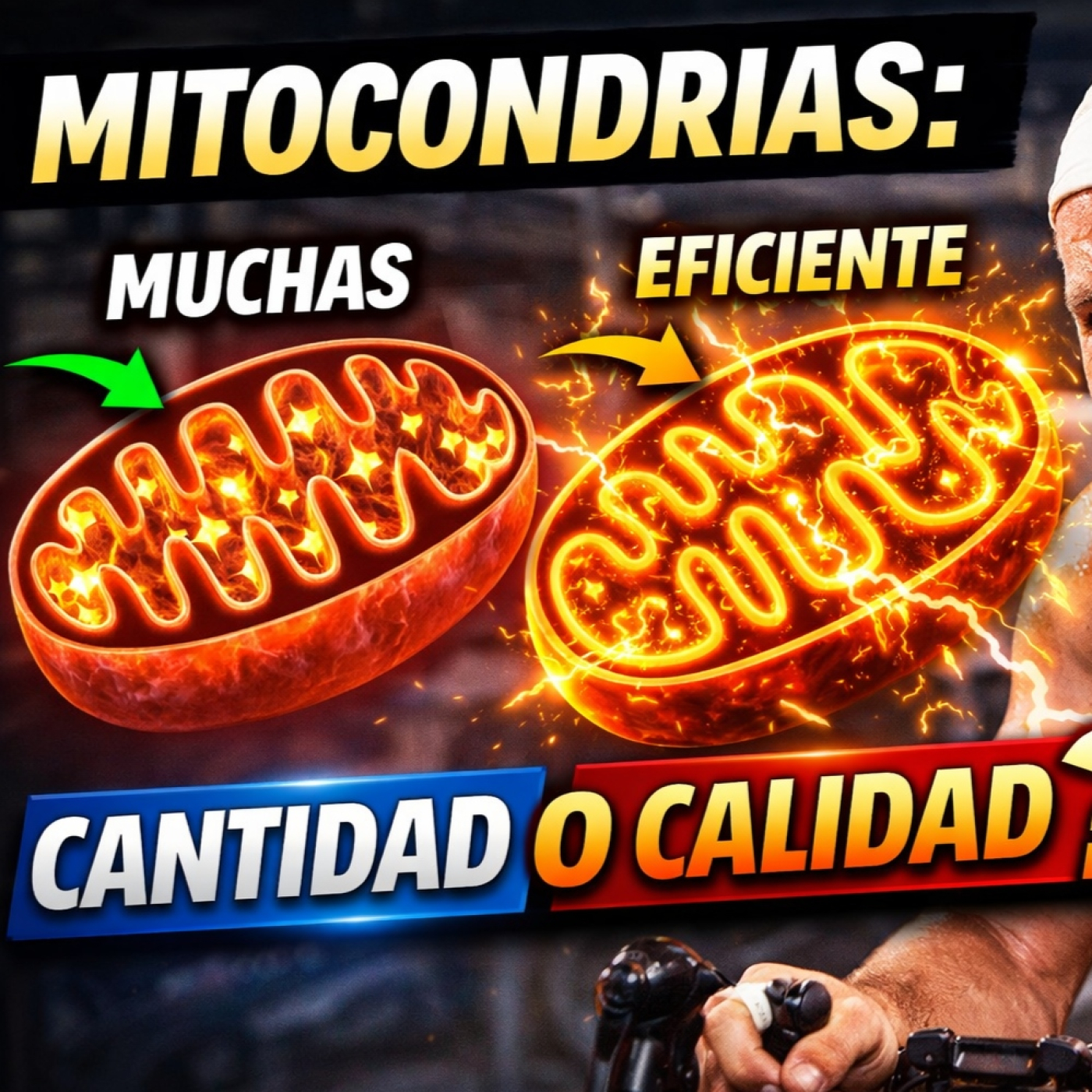284. No hagas más kilómetros: Cómo entrenar la CALIDAD de tus mitocondrias