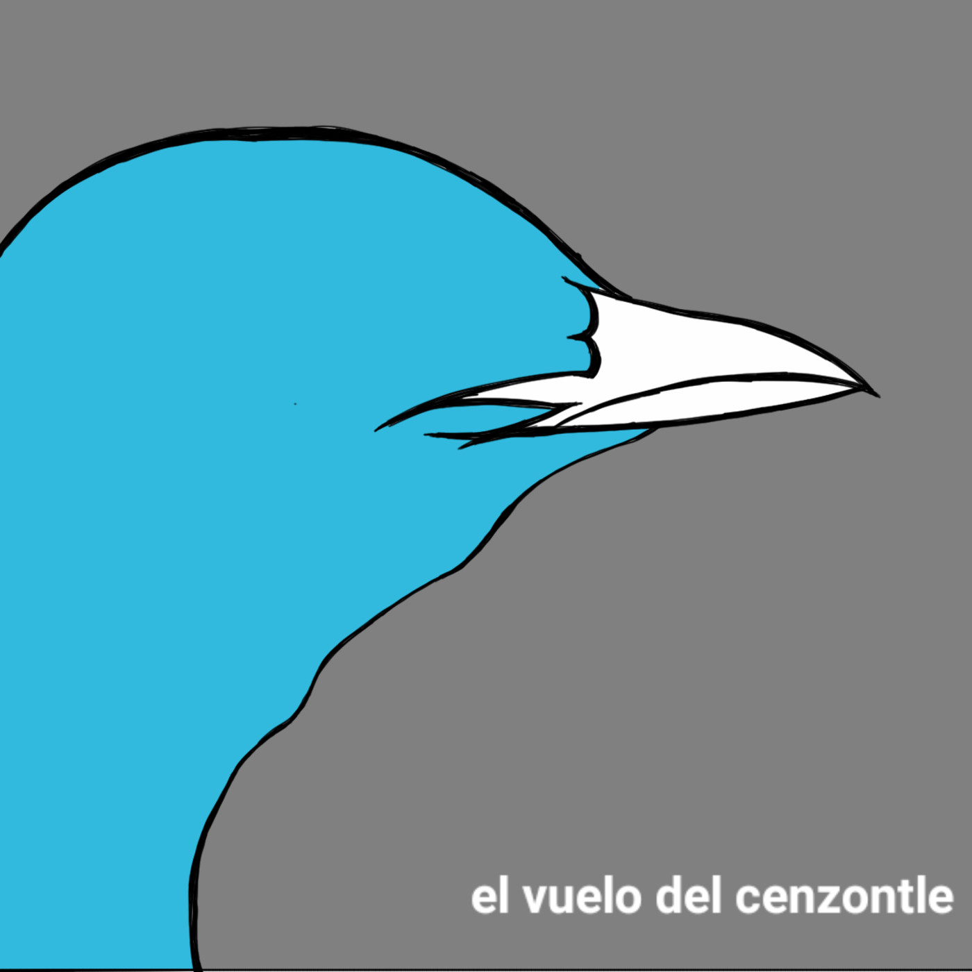 El Vuelo del Cenzontle