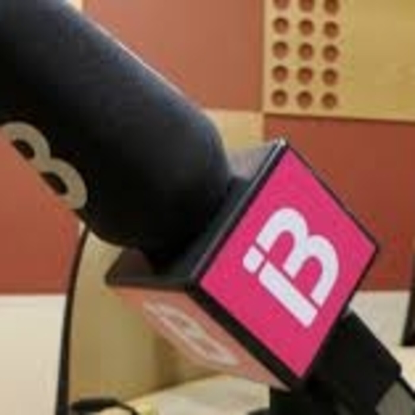 Bons aliments i gastrociència. IB3 Ràdio