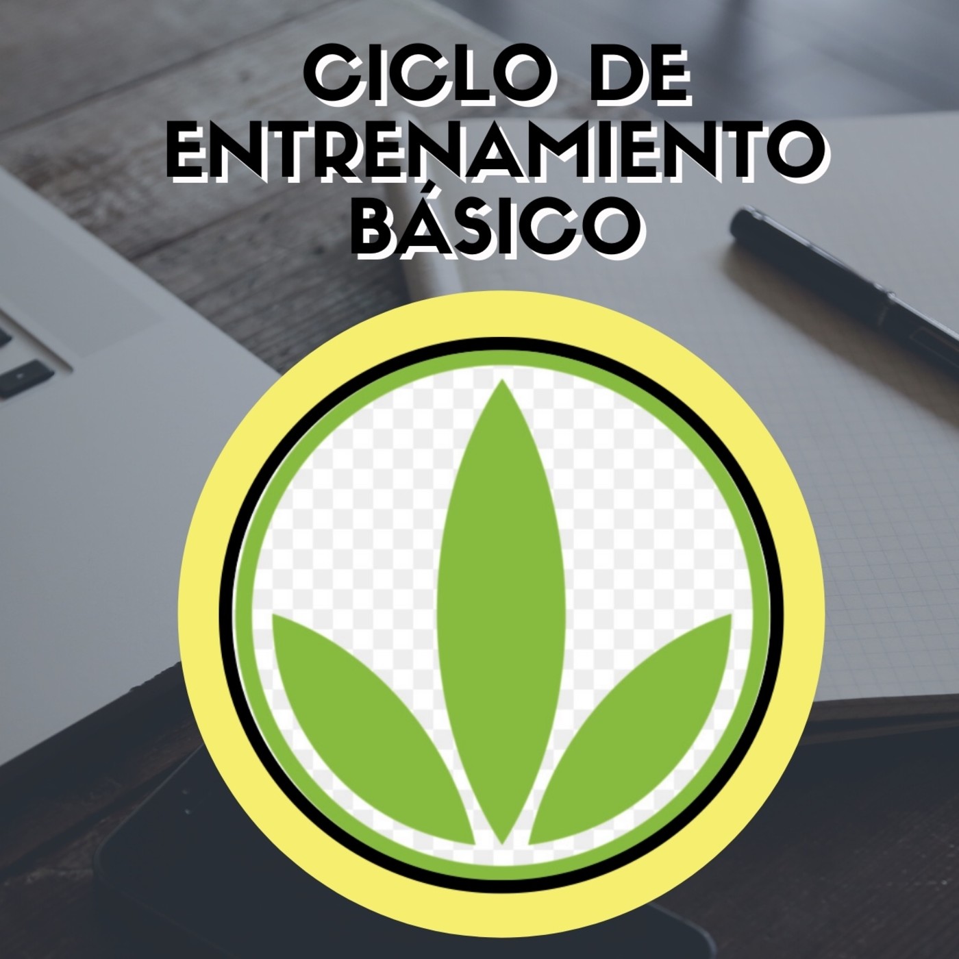HBL DE LOS PROFESIONALES