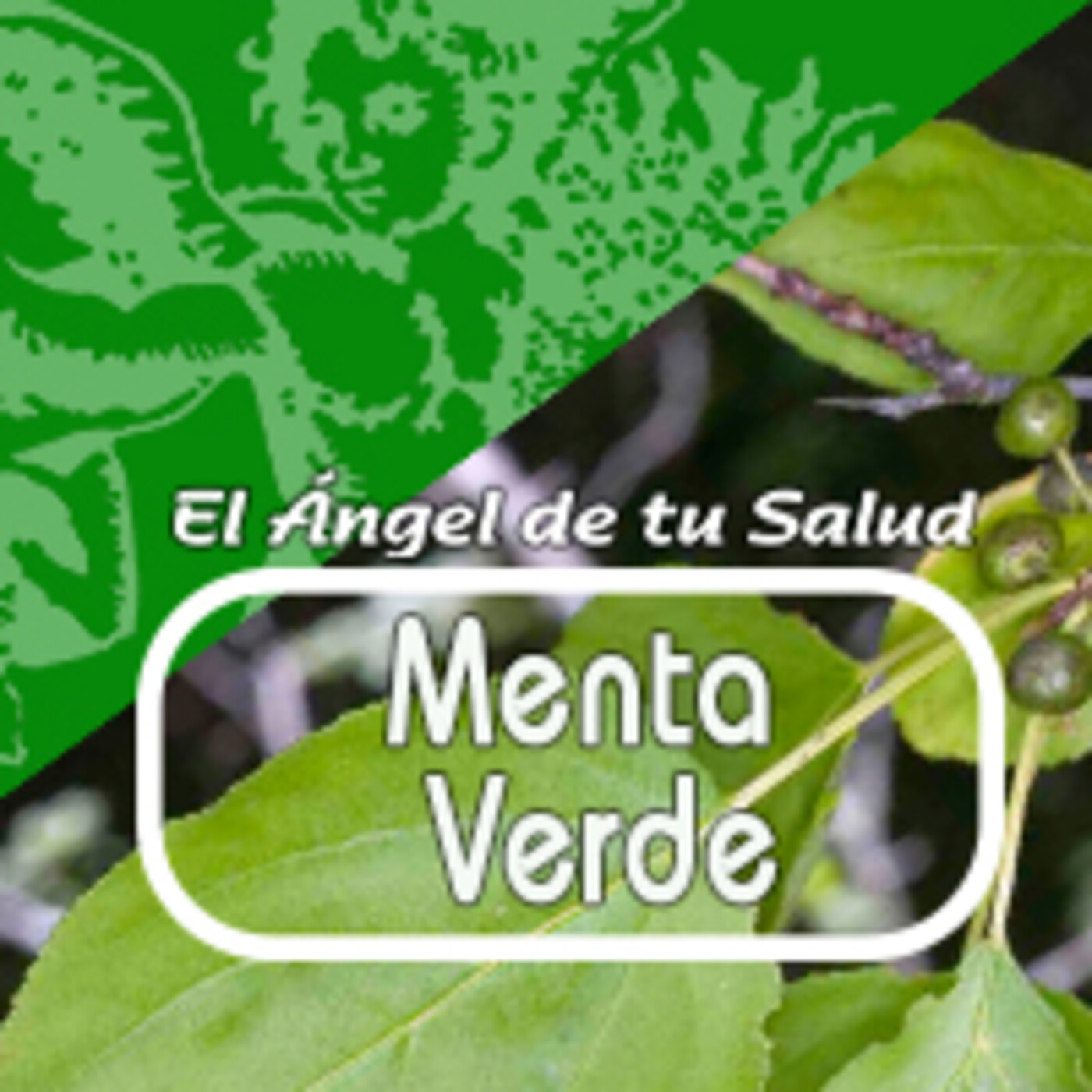 El Angel de tu Salud - MENTA VERDE