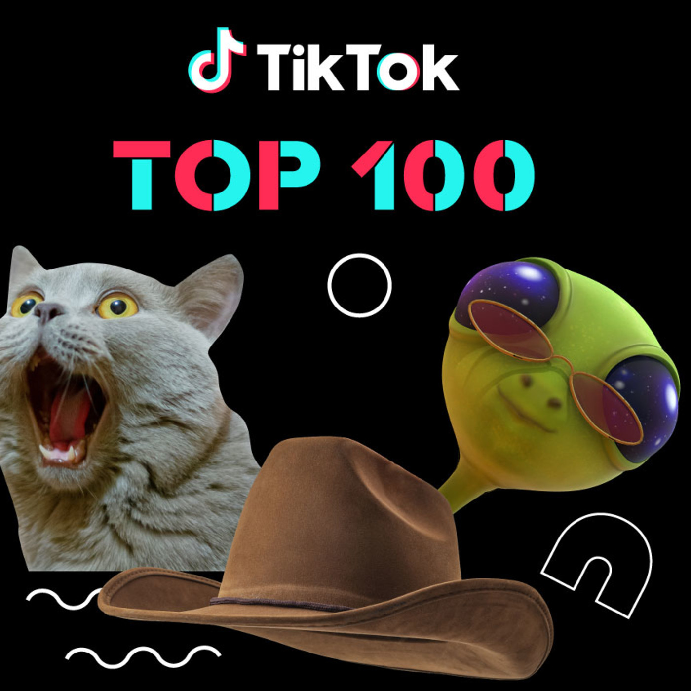 Tik Tok y politica es una alianza fabulosa episode artwork