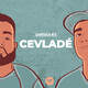 Cap. 2 - Cevladé