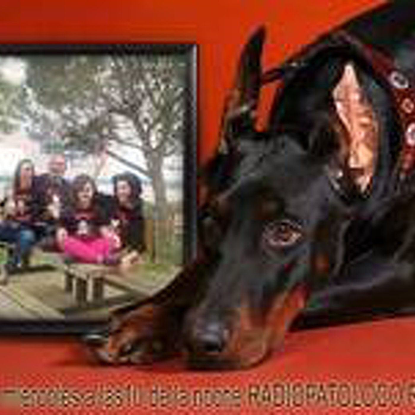 Podcast RADIOPATOLOCO EMISIONES